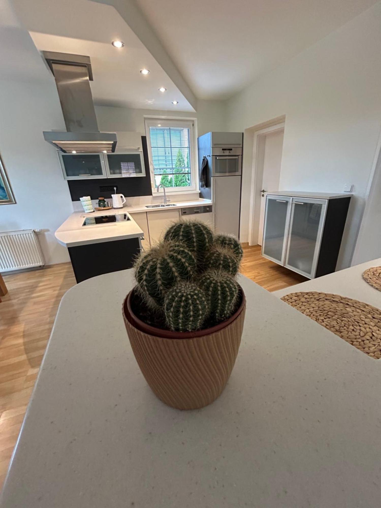 Diamondvilla, 4 Bedroom Apartment, Garden & Apartment Prag