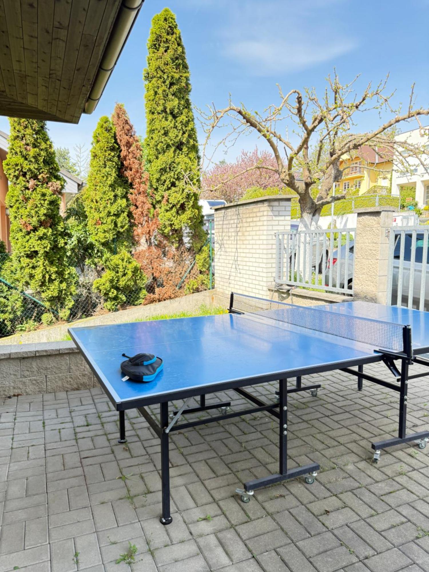 Diamondvilla, 4 Bedroom Apartment, Garden & Prag